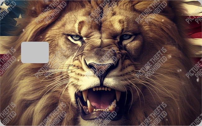 Bank  Card Sticker-BC-43